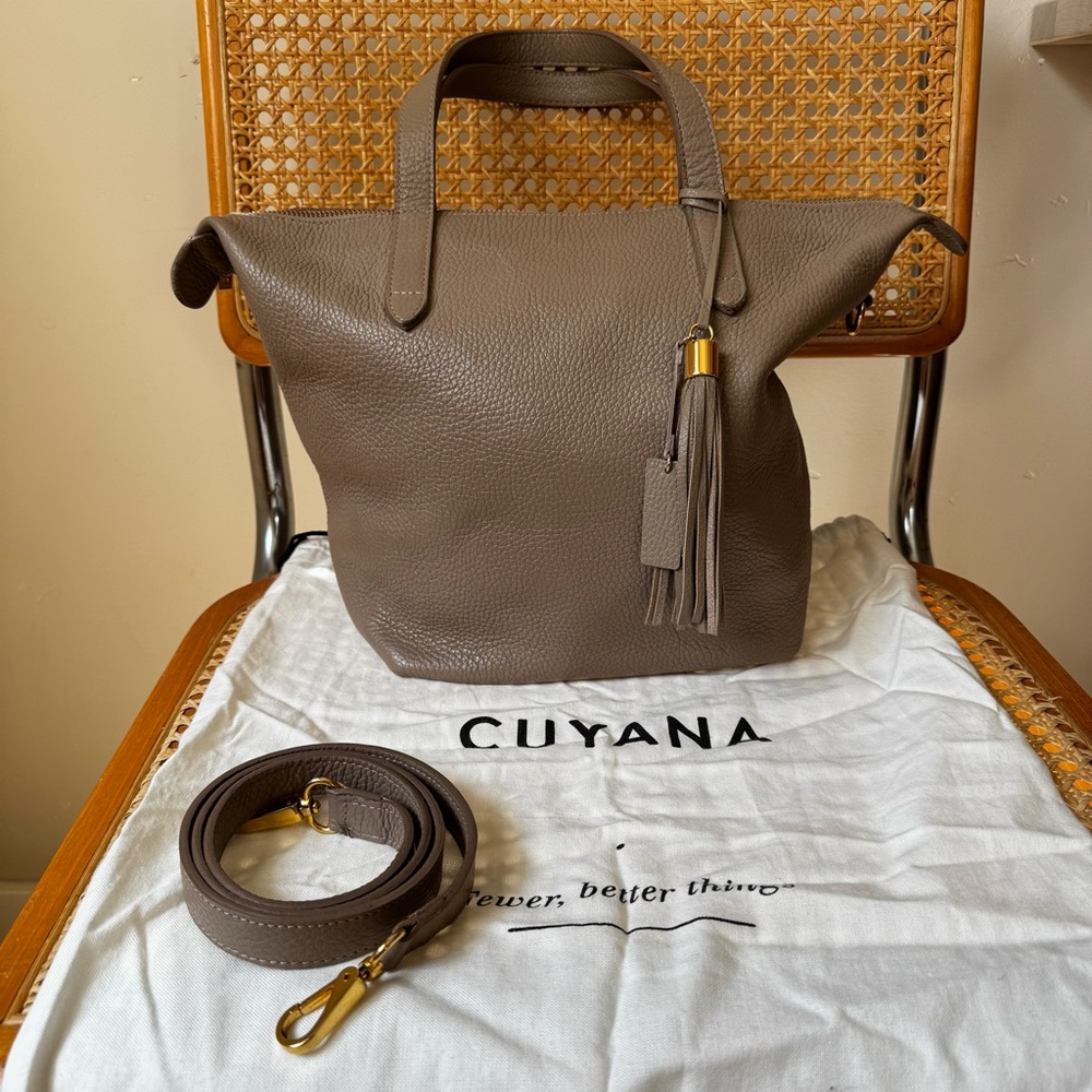 Cuyana Taupe Leather Satchel